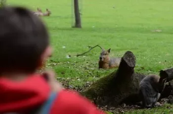 visite centre de loisirs