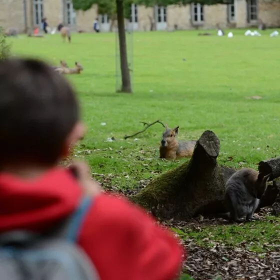 visite centre de loisirs
