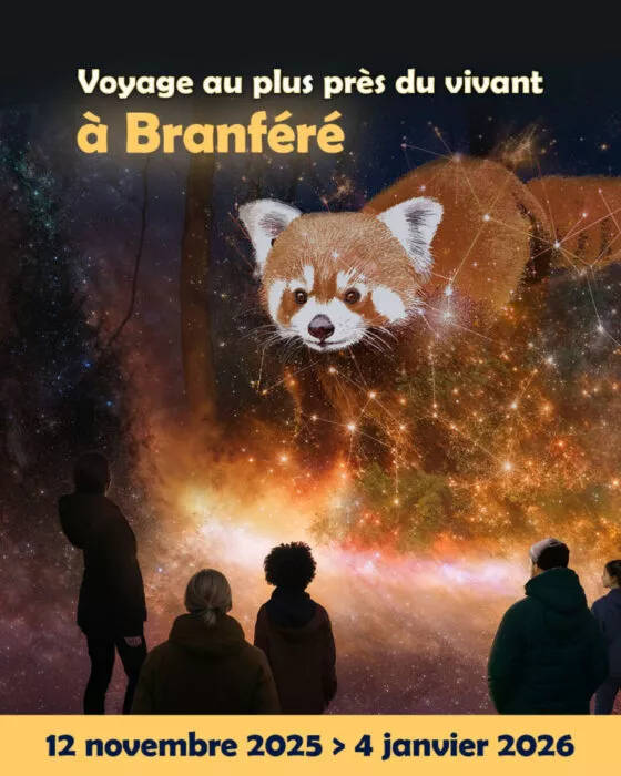 Visuel 3 lumières branfere