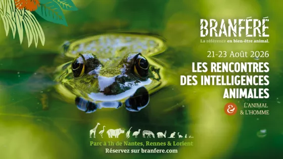 affiche rencontres intelligences animales 2