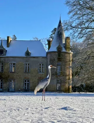 branféré sous la neige 2