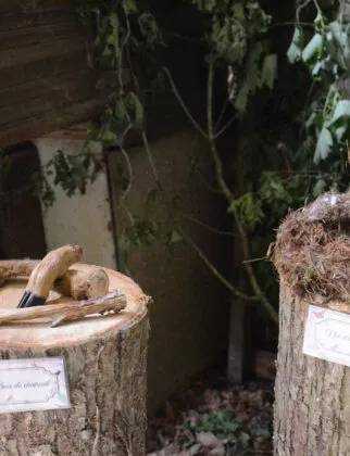 Stand les rencontres de branféré 2