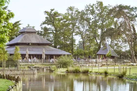 restaurant groupe vue depuis terasse