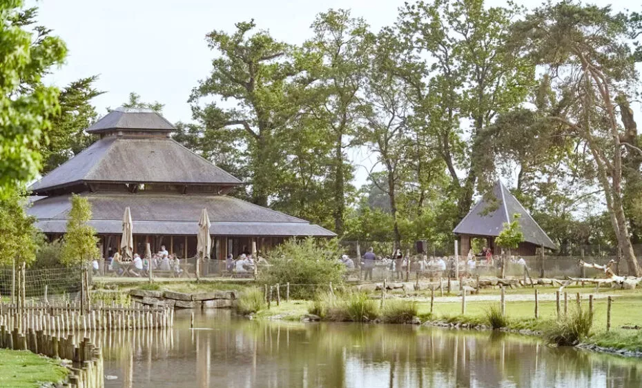 restaurant groupe vue depuis terasse