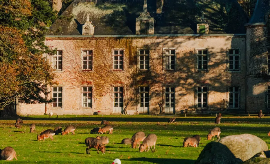 Chateau de Branféré PLORIEL