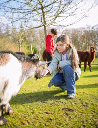 Mini ferme nourissage vue 2