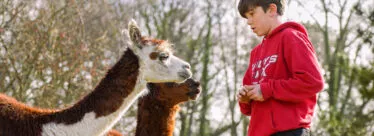 Mini ferme nourissage vue 3