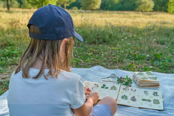 colo creation nature