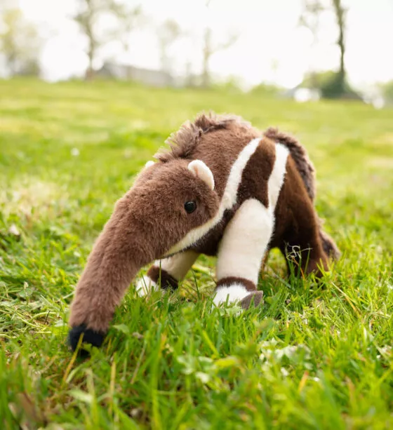 Peluche fourmilier branféré
