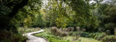 Zone humide branfere