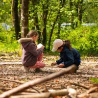 colo activité foret