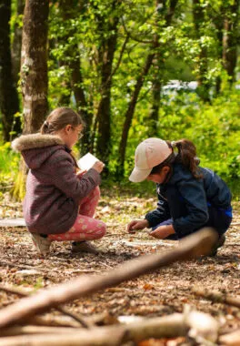 colo activité foret