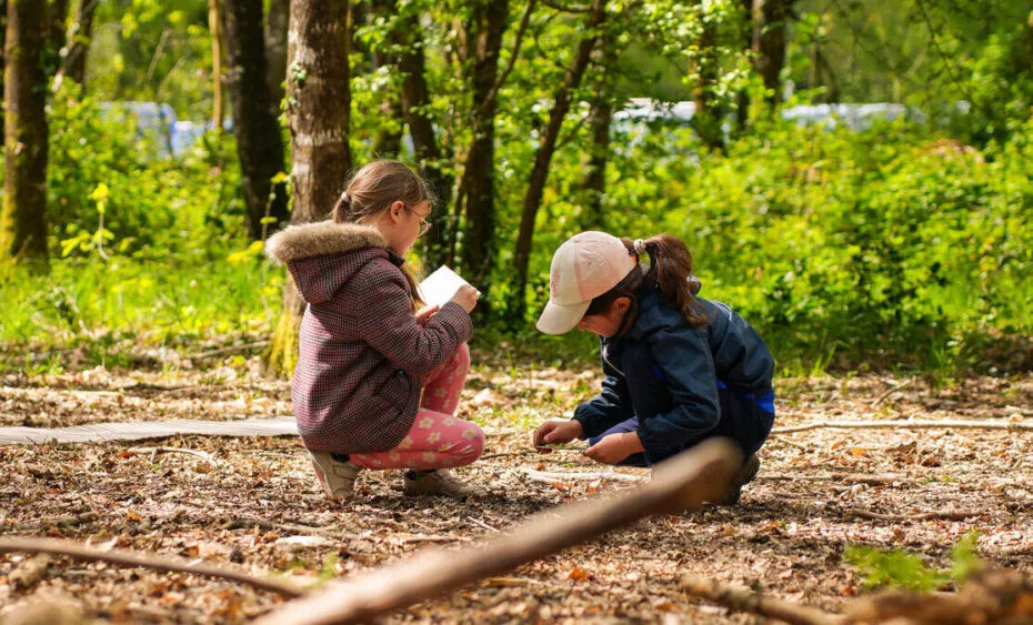colo activité foret