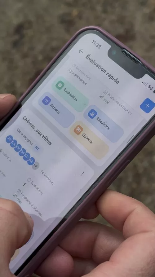 app akongo