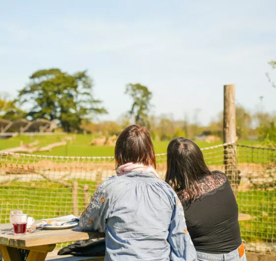 Brunch à branfere 19