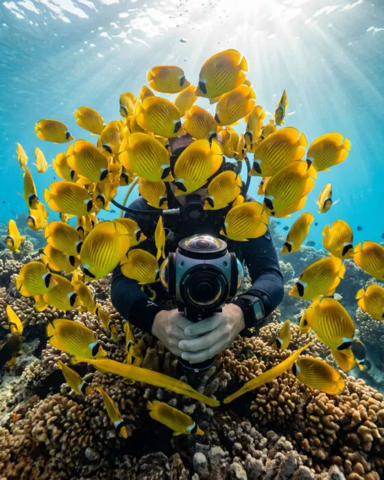 expérience realité virtuelle ocean 3