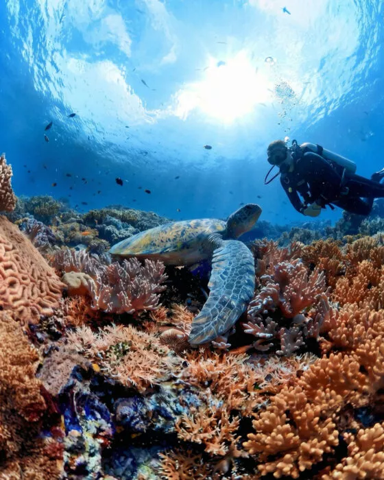 expérience realité virtuelle ocean 7