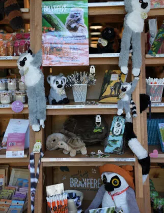 Boutique de branféré Madagascar 2