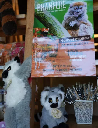 Boutique de branféré Madagascar 4