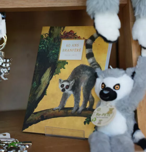 Boutique de branféré Madagascar 3