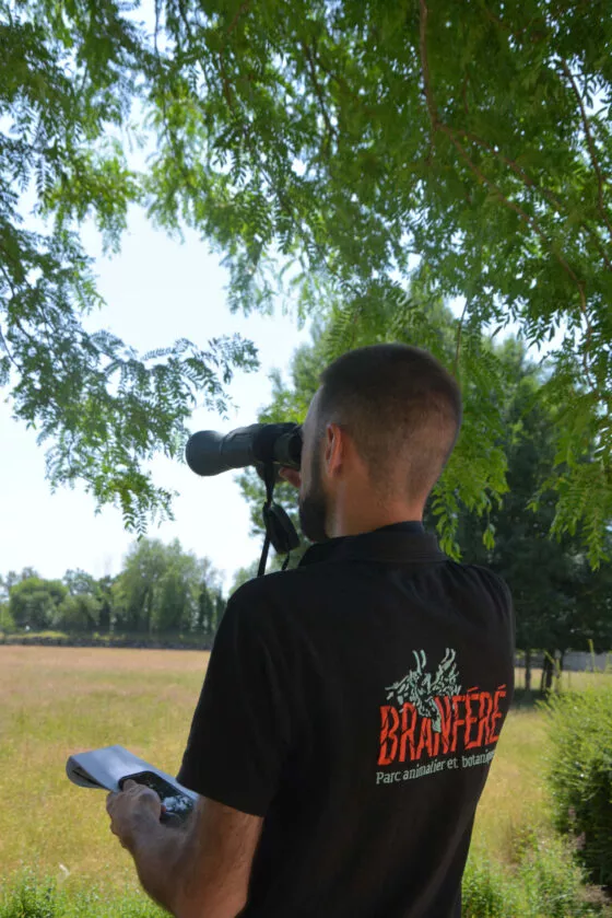recherche scientifique alexandre