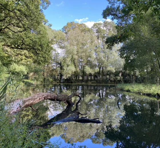 zone d'eau branféré