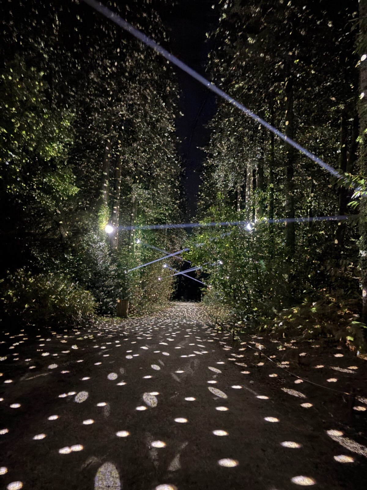 Les Nuits de Branféré — sons et lumieres