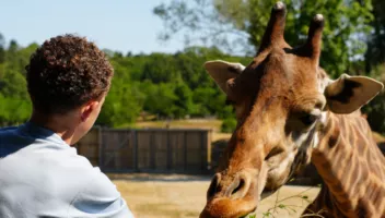 nourrissage girafe 5